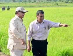 Publik Dukung Swasembada Pangan saat Survei 100 Hari Kerja Prabowo