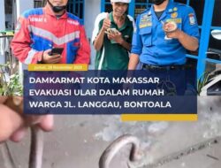 Petugas Penyelamat MAKO Evakuasi Ular dari Rumah Warga di Jl. Langgau No. 66