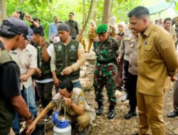 Peternak Bangkit, Bupati Bantaeng Kembalikan Program Inseminasi Buatan Pada Sapi