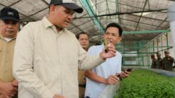 Bupati Bantaeng Tinjau Kultur Jaringan Kentang, Dorong Daerah Jadi Sentra Benih Unggul