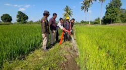 Selamatkan Lahan Pertanian di 24 Kabupaten Kota, Gubernur Sulsel: Tim Sudah Lakukan Pompanisasi di Lapangan