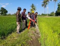 Selamatkan Lahan Pertanian di 24 Kabupaten Kota, Gubernur Sulsel: Tim Sudah Lakukan Pompanisasi di Lapangan